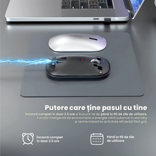 Mouse Wireless Reinacarcabil Ewenta