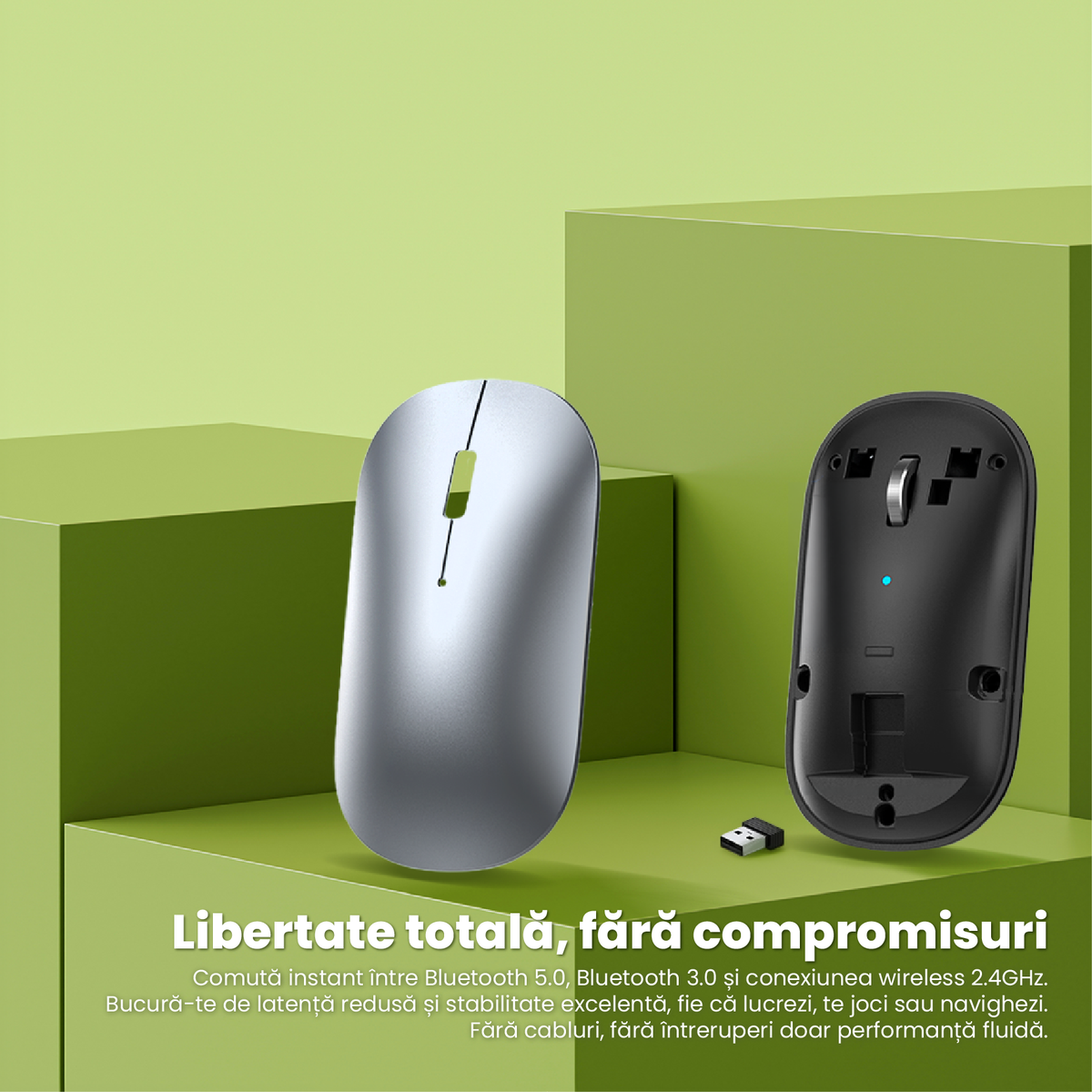 Mouse Wireless Reinacarcabil Ewenta