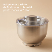 Mixer cu Bol de 6L din Inox Ewenta® MegaMix Pro