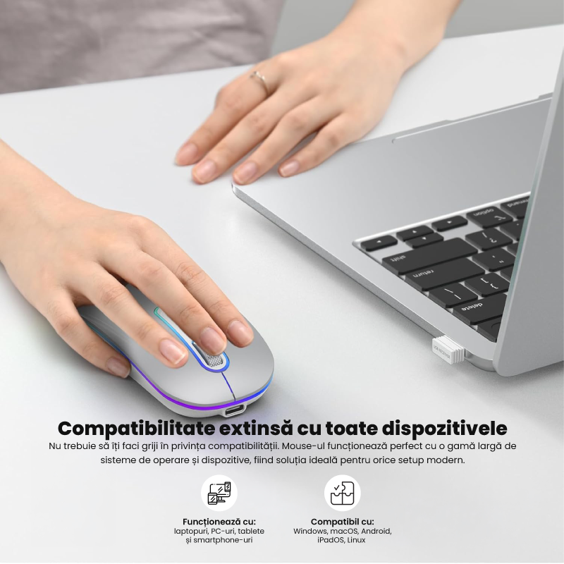 Mouse Wireless Reincarcabil Ewenta, Soft Click