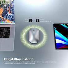 Mouse Wireless Reinacarcabil Ewenta