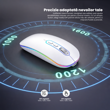 Mouse Wireless Reincarcabil Ewenta, Soft Click