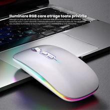 Mouse Wireless Reincarcabil Ewenta, Soft Click