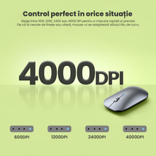 Mouse Wireless Reinacarcabil Ewenta