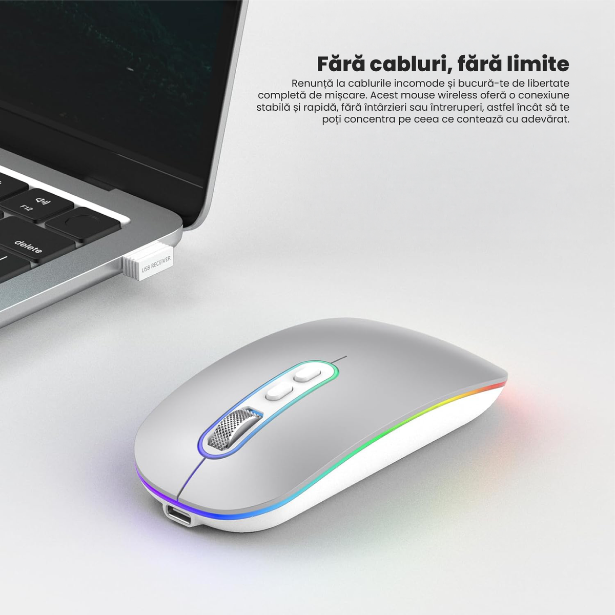 Mouse Wireless Reincarcabil Ewenta, Soft Click